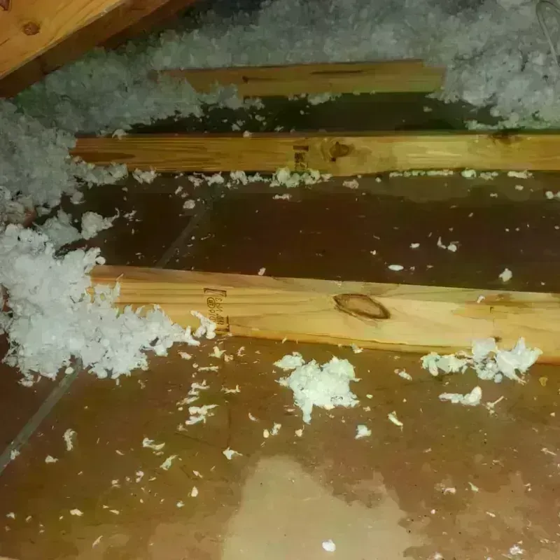 Attic Water Damage in Tualatin, OR