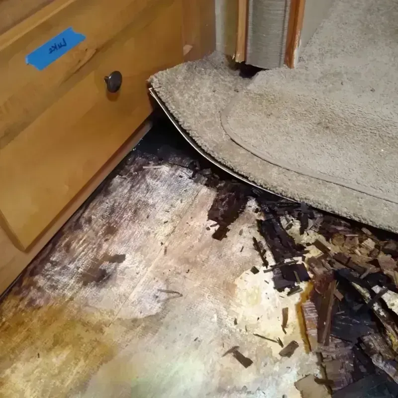 Best Wood Floor Water Damage Service in Tualatin, OR